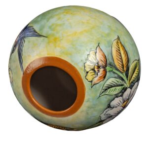 Momo Colibrí mate